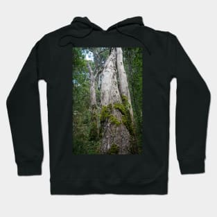 Greens Bush #6 Hoodie